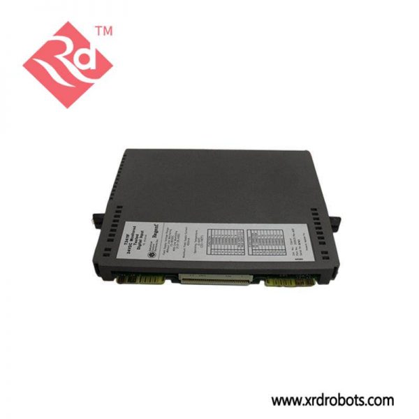 ICS Products ICS T8431 Analog Input Module